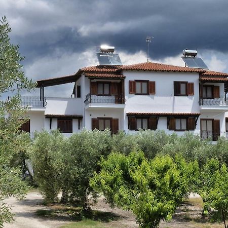 Elaionas Apt. Psakoudia Dış mekan fotoğraf