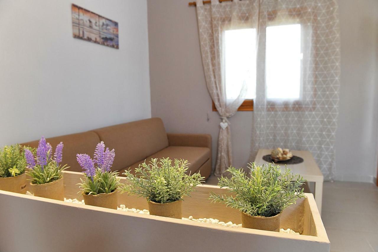 Elaionas Apt. Psakoudia Dış mekan fotoğraf