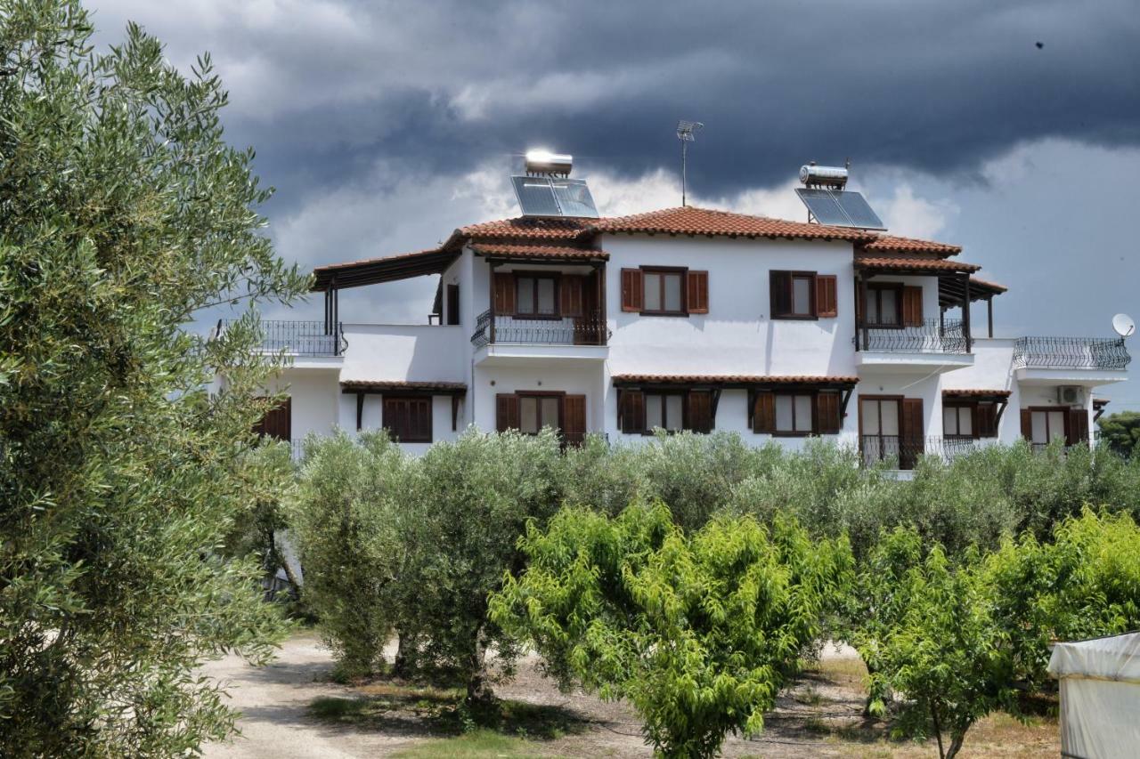 Elaionas Apt. Psakoudia Dış mekan fotoğraf